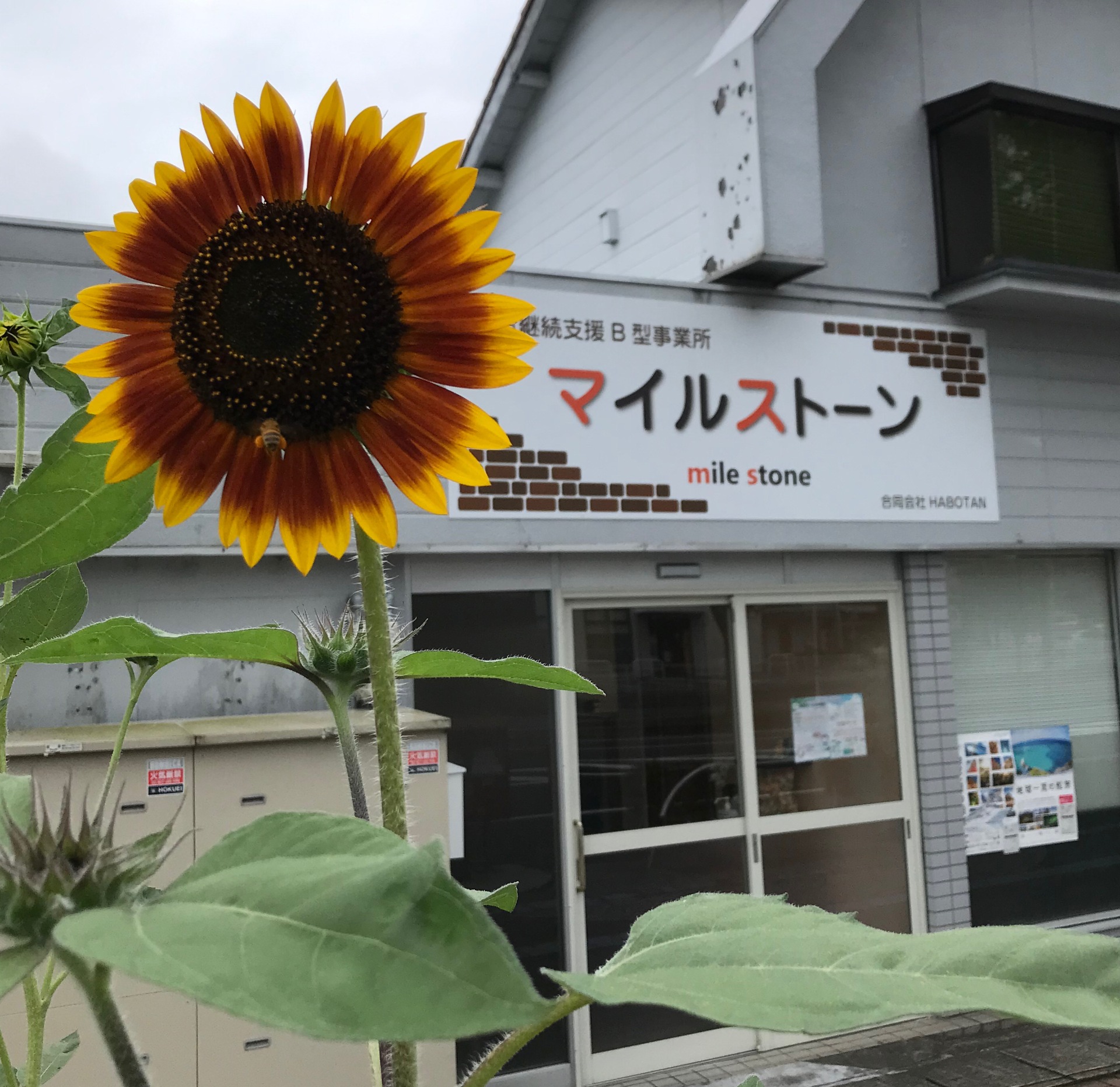 ブログ マイルストーン 就労継続支援b型事業所 岐阜駅から徒歩6分